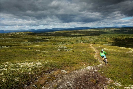 Torger Fenstad finner flyten på utforkjøringen ned mot Fagerhøy. / Stisykling i Norge. Torger Fenstad finner flyten på utforkjøringen ned mot Fagerhøy. / Stisykling i Norge.
