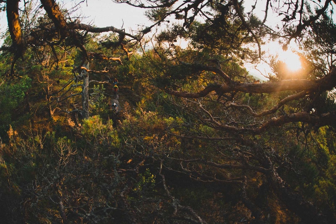 «HØYT»: Du kan ikke regne med å vinne noen Strava-merker for høydemeter på Nøtterøy, men det finnes nok av morsomme utforkjøringer. stisykling-nøtterøy-2