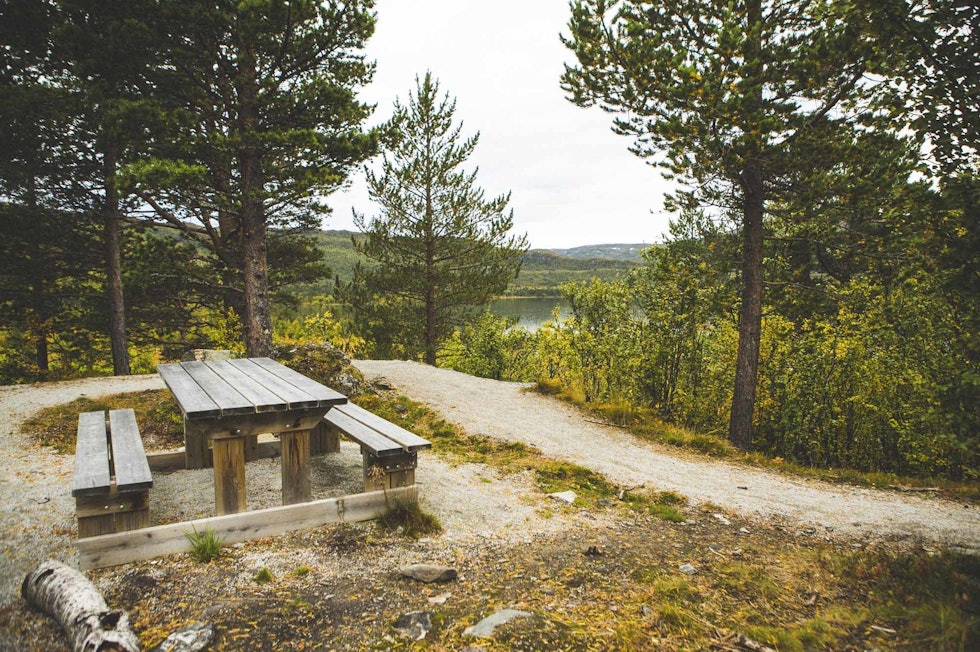 PUST I BAKKEN: Her kan du stoppe og hvile underveis. Foto: Kristoffer H. Kippernes stisykling geilo skurfen