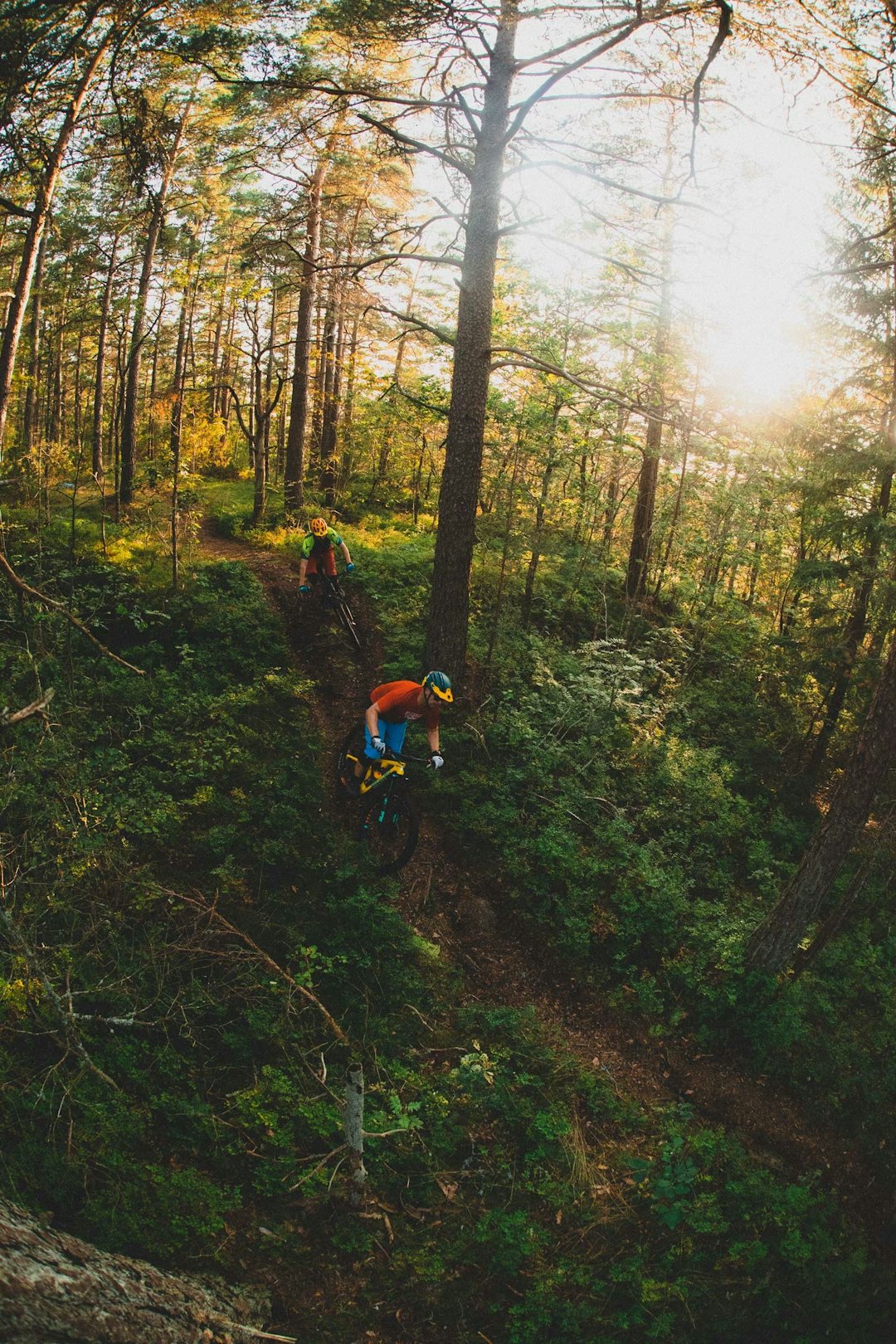 SKJERPÅSEN: Et av de beste stipartiene på Nøtterøy er ved Skjerpåsen. Etter en velfortjent pause med utsikt vender vi tilbake mot sjøen. stisykling-nøtterøy-3