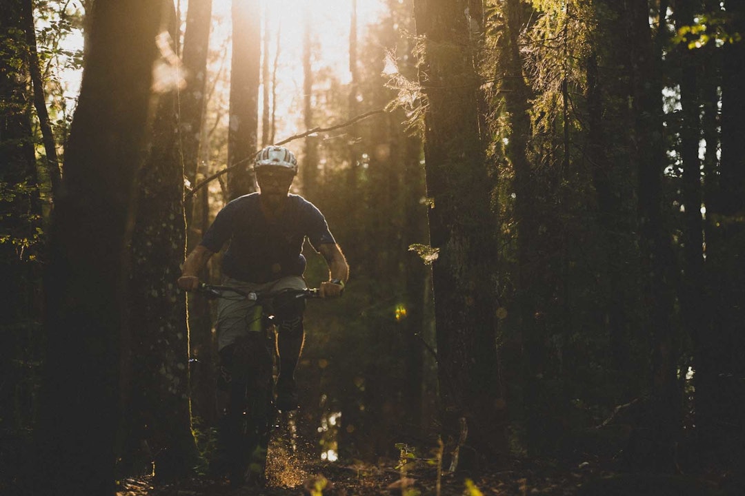 TETT SKOG: Truls Ekelund kjenner skogene på Nøtterøy bedre enn de fleste. stisykling Nøtterøy