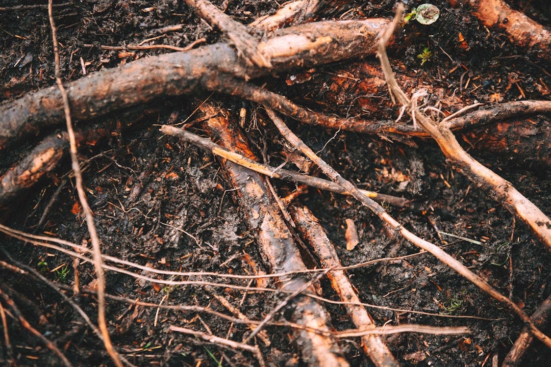 Foto: Kristoffer H. Kippernes Foto: Kristoffer H. Kippernes