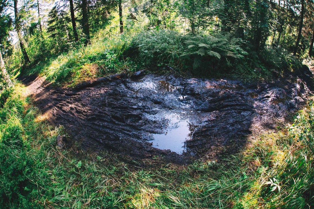 Foto: Kristoffer H. Kippernes Foto: Kristoffer H. Kippernes