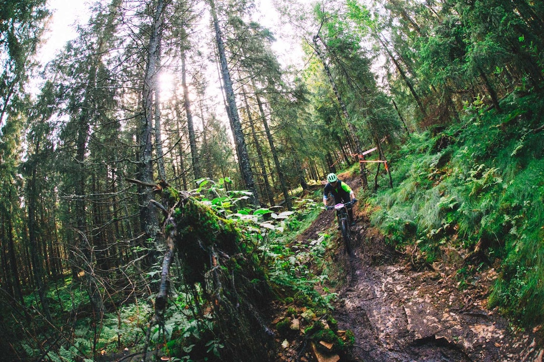 Foto: Kristoffer H. Kippernes Foto: Kristoffer H. Kippernes