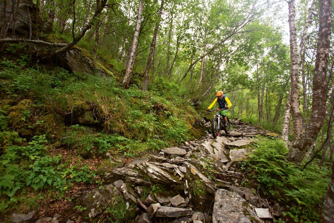 STEINSATT STI: Bjørn Michaelsen trakterer et av de mer krevende partiene ned fra Nalganás med glans på plussfulldemperen sin. Stisykling-Alta-3