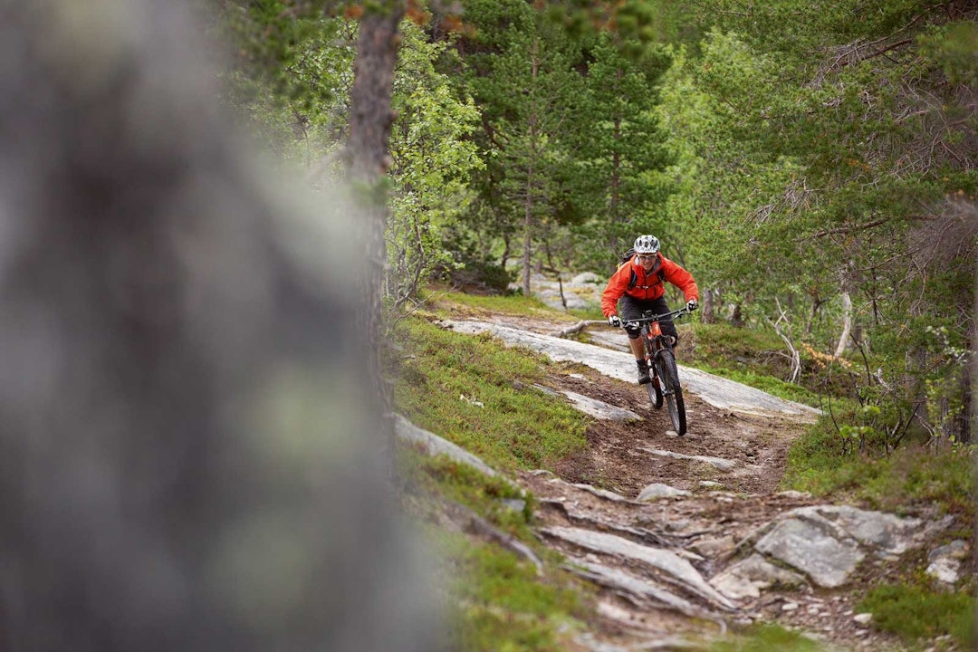 DOBLE SPOR: Flere av stiene i og rundt Alta bærer preg av ATV-kjøring. Erik Eide Bye prøver å følge en smal sti. Stisykling-Alta-6