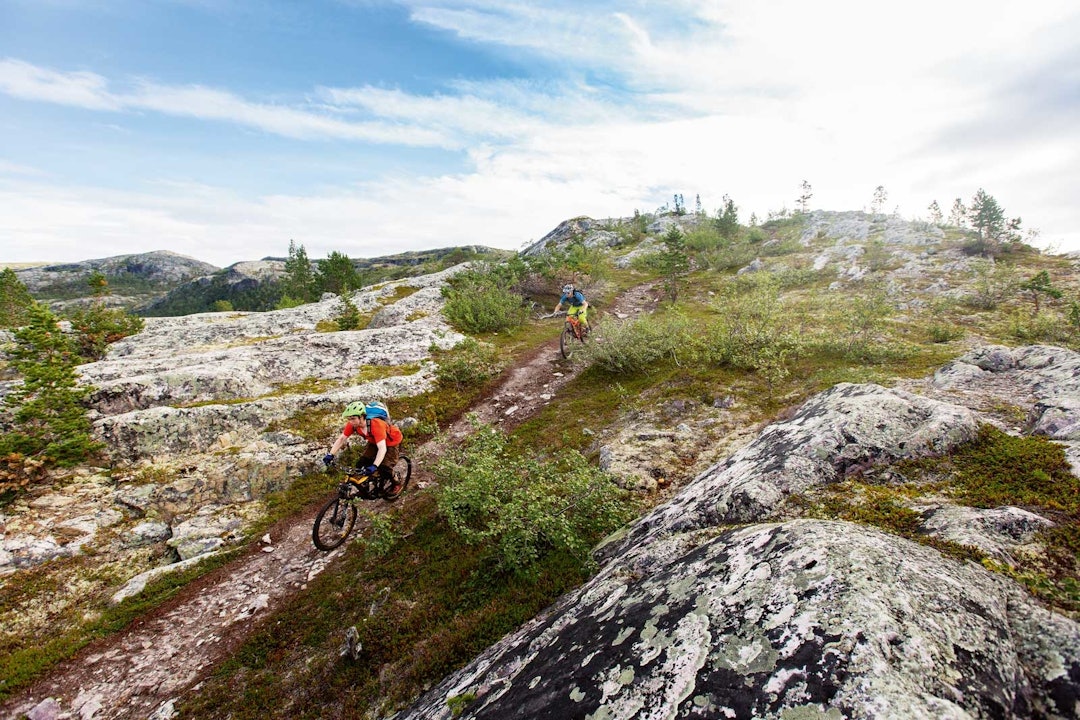 STI-SKOLEN: Daniel Bjaltmann og Erik Eide Bye jager på stien ned fra Borras mot Alta. Etter et år på folkehøgskole i Alta har vet de hvor de beste stiene er å finne. Stisykling-Alta-8