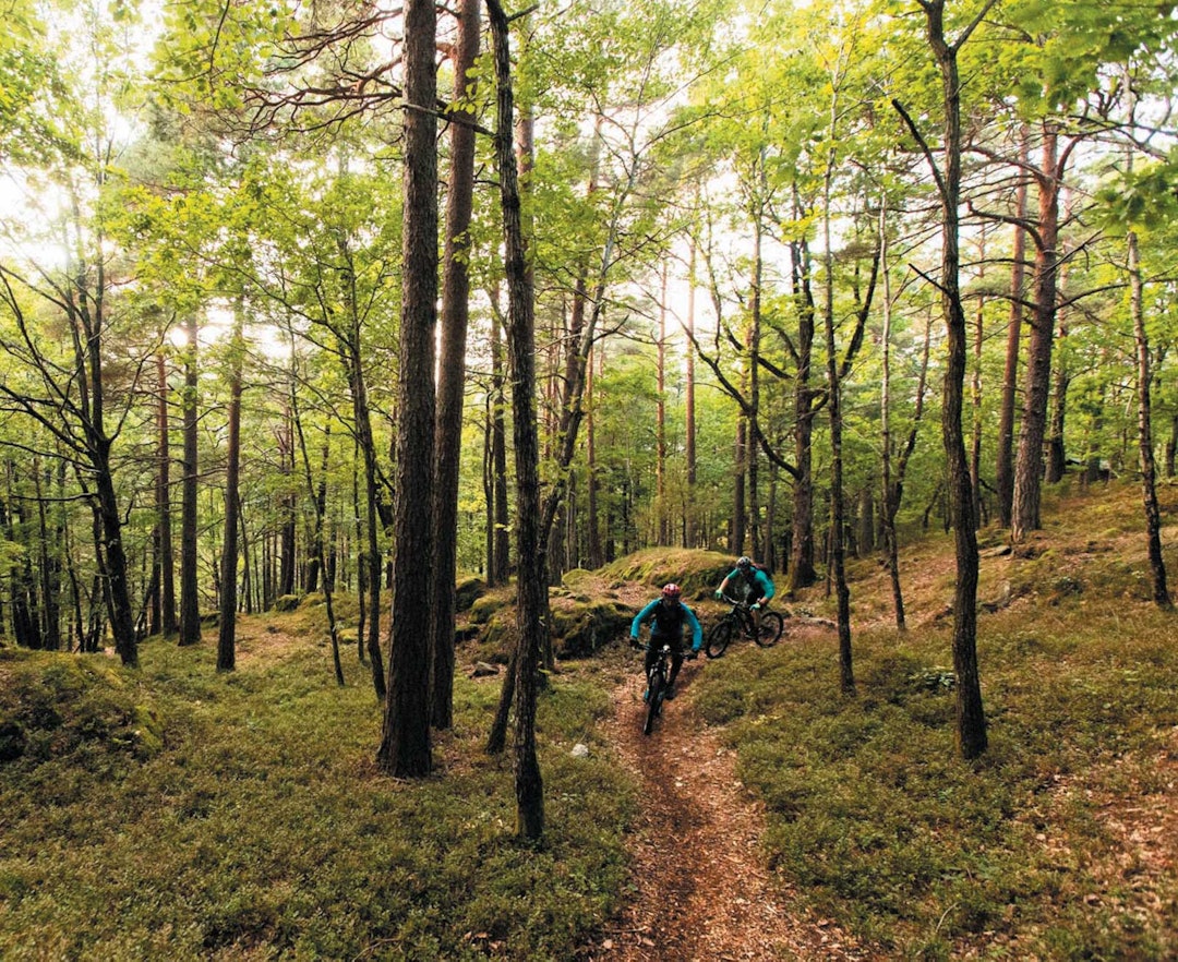 BARKEBOOGIE: Thomas B. Svendsen tauer Morgan Bakken opp en klatring på stier kledd med bark. BARKEBOOGIE: Thomas B. Svendsen tauer Morgan Bakken opp en klatring på stier kledd med bark.