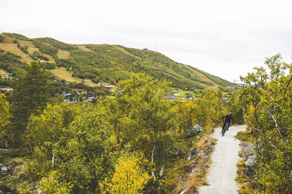 ENKELT Å KOMME I GANG: På Geilo er det flere tilrettelagte stier. Foto: Kristoffer H. Kippernes stisykling nybegynner hvor