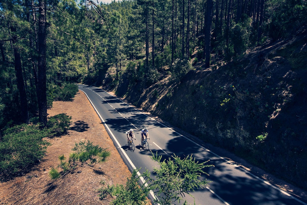 Tenerife sykling skogen