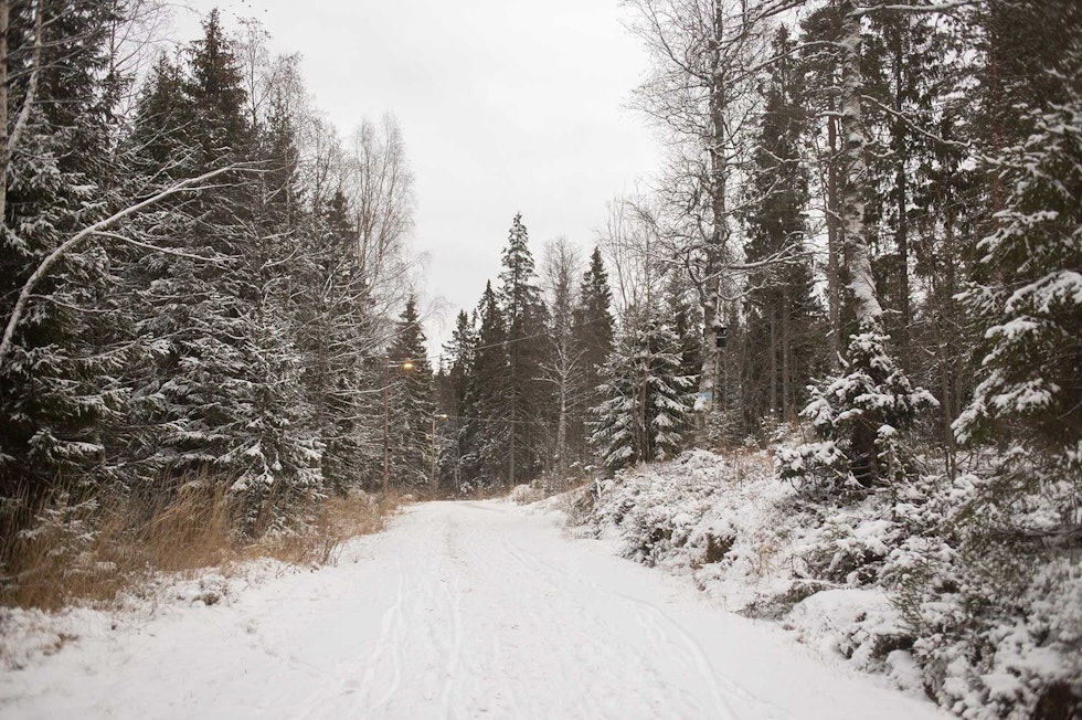 GRUSVEI: Ikke alle veier i marka brukes som skiløyper, og hvis de blir brøytet kan det være fine muligheter for sykling. Foto: Kristoffer H. Kippernes vintersykling