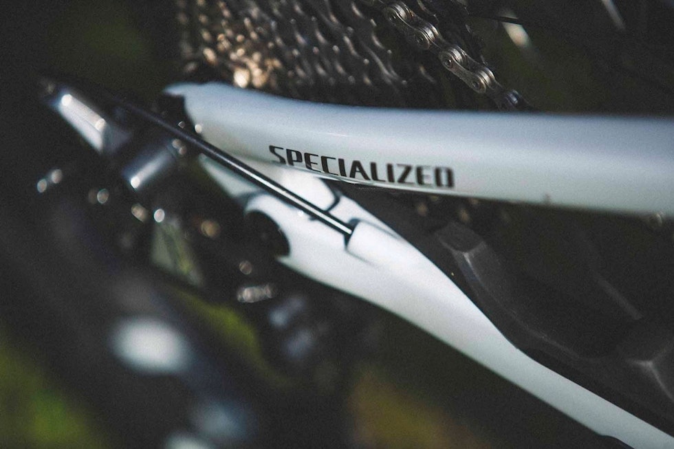 LINKEN TIL HAN HORST: Specialized har brukt det lille leddet på kjedestaget siden deres urfulldemper fra begynnelsen av 90-tallet. LINKEN TIL HAN HORST: Specialized har brukt det lille leddet på kjedestaget siden deres urfulldemper fra begynnelsen av 90-tallet.