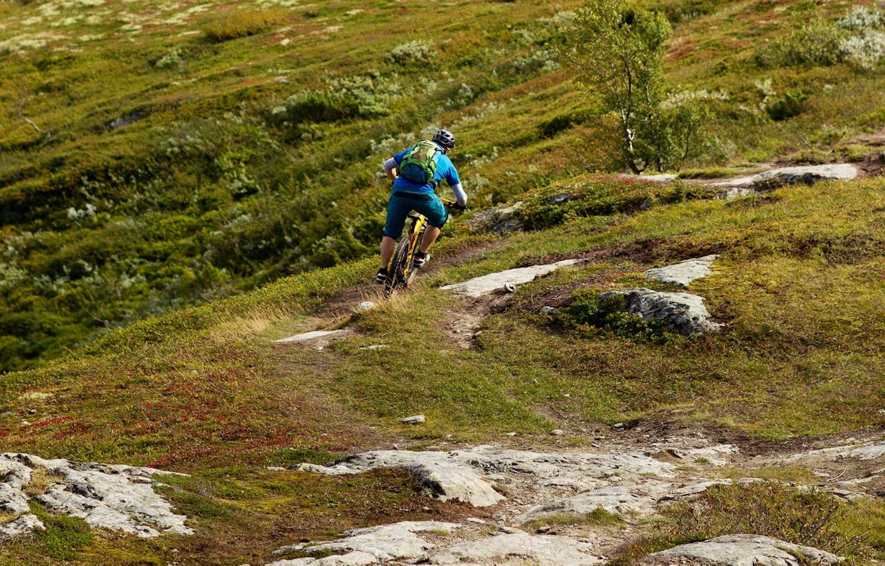 Arne Radmann slipper opp ned fra Svarthaugen mot dalbunnen. / Stisykling i Norge Arne Radmann slipper opp ned fra Svarthaugen mot dalbunnen. / Stisykling i Norge