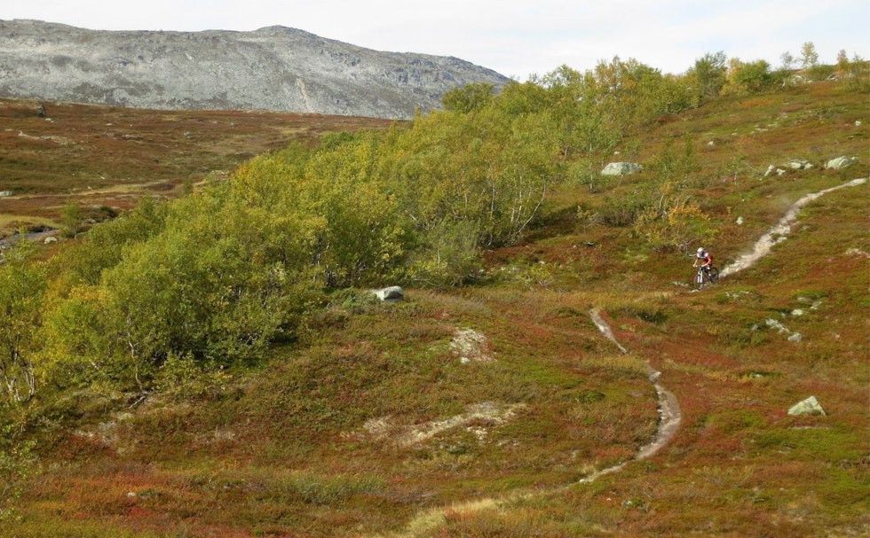 Turen Dindalen til Åmotsdalen byr på episke fjellstier og er en av turene som tilbys på årets utgave av Oppdal Stisykkelcamp. Foto: Steffen Fjelldal