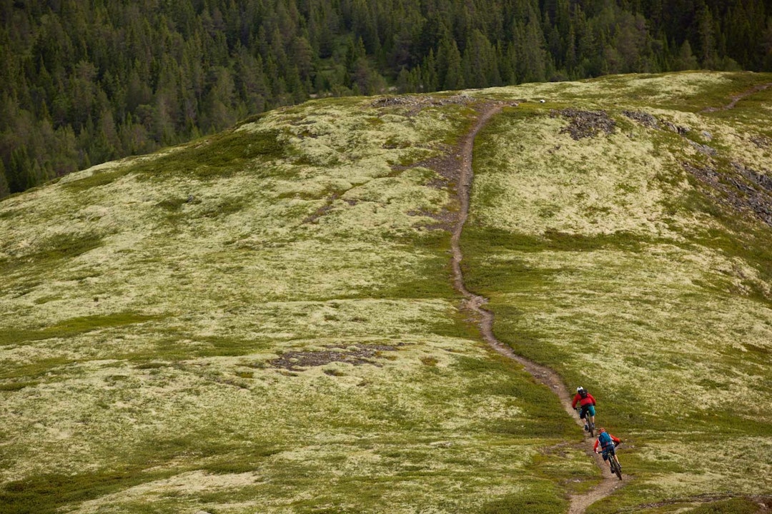 SOM I EN DRØM: For Ola Martin Rekstad(nærmest kamera) og Audun Lutnæs er dette kjente trakter. For enhver som kommer på besøk: en drøm i oppfyllelse. Stisykling-i-Alvdal-3