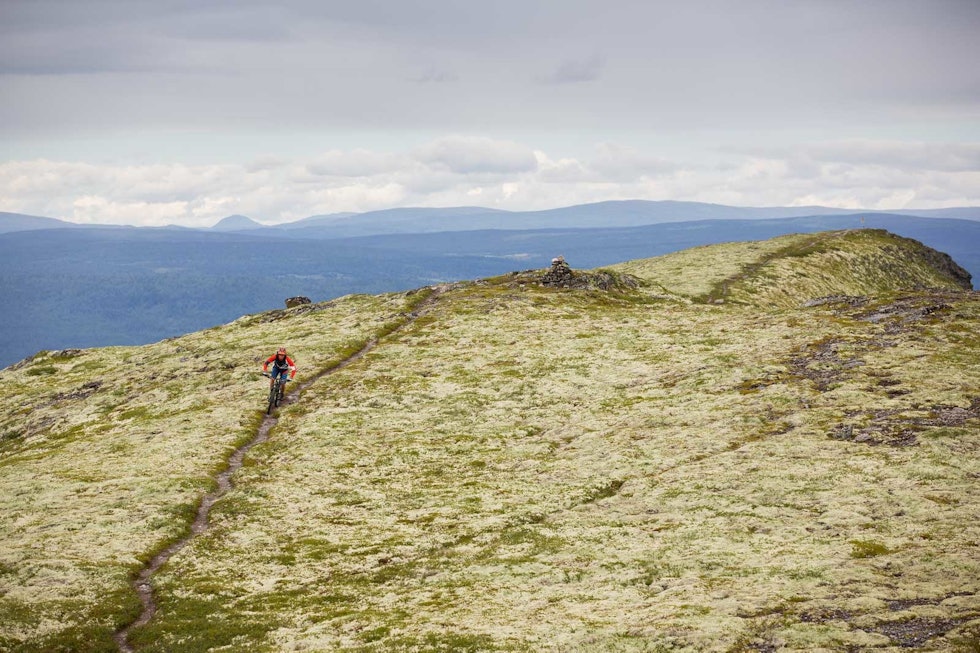 MÅSSÅ: Ola Martin Rekstad har vokst opp med de smale stiene som snor seg over fjellene rundt Tynset. Her på vei mot Bratthøa Stisykling-i-Alvdal-4