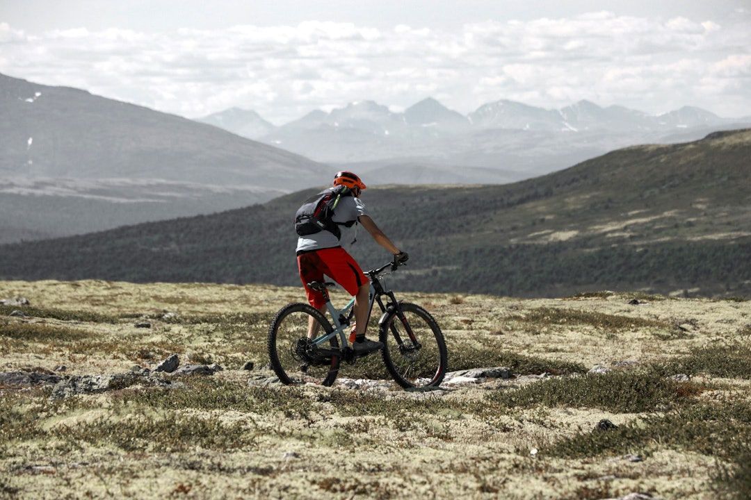 Terrenget rundt Alvdal byr på et eldorado av høyfjellsstier av ulik teknisk vanskelighetsgrad. Foto: Marte/Livesstock