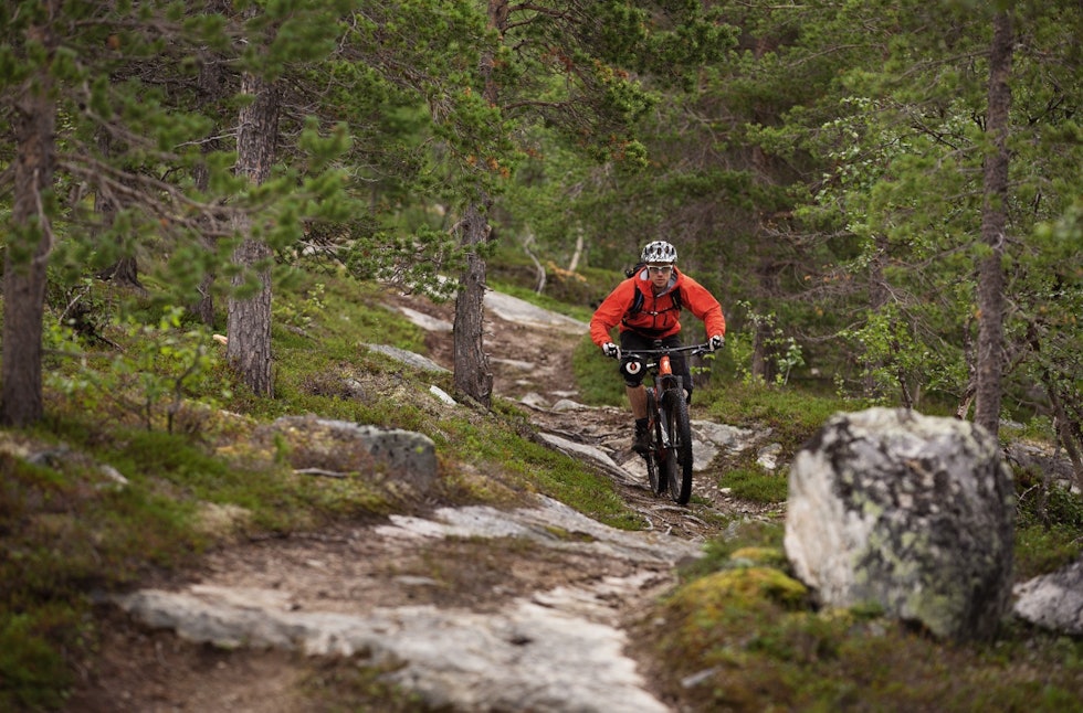 DOBLE SPOR: Flere av stiene i og rundt Alta bærer preg av ATV-kjøring. Erik Eide Bye prøver å følge en smal sti. DOBLE SPOR: Flere av stiene i og rundt Alta bærer preg av ATV-kjøring. Erik Eide Bye prøver å følge en smal sti.