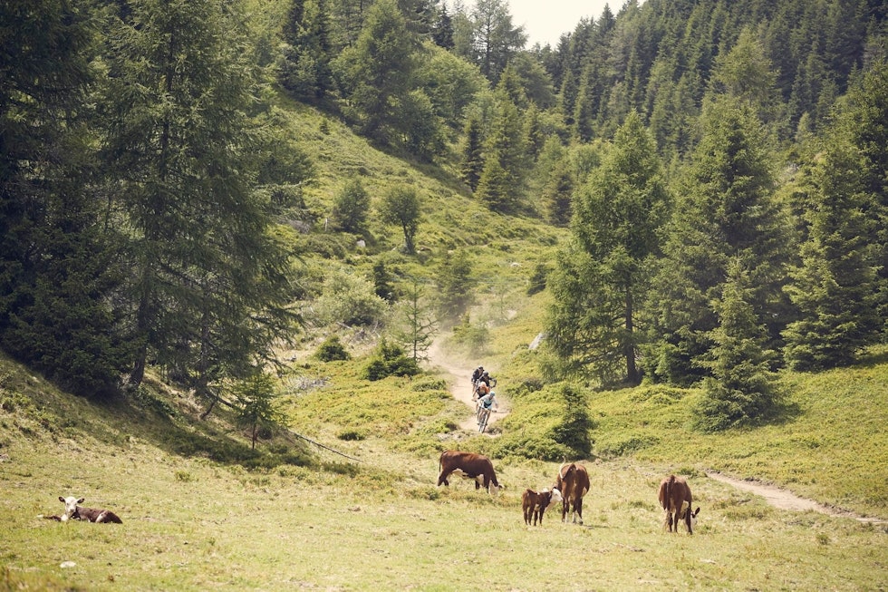 Ingen klaget på utsikten under første etappe av TransAlp, som gikk fra Tux til Brixen. 105 kilometer. Foto: Arrangøren Ingen klaget på utsikten under første etappe av TransAlp, som gikk fra Tux til Brixen. 105 kilometer. Foto: Arrangøren