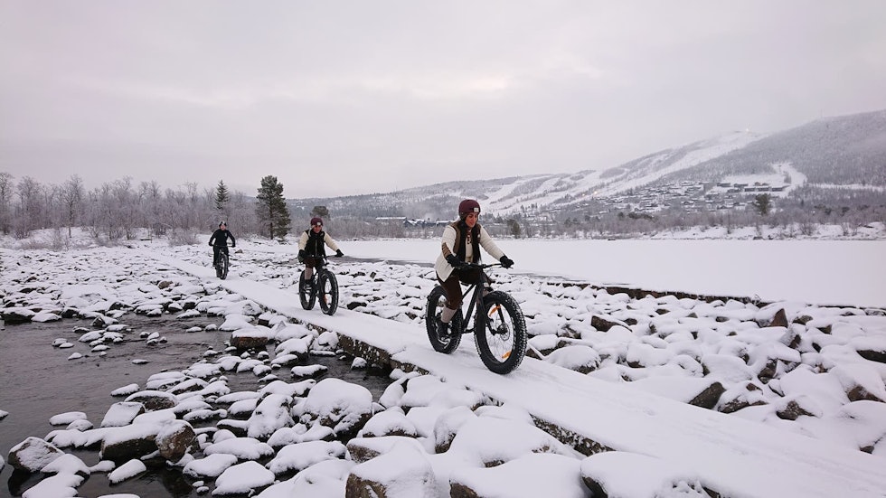 GEILO: På Geilo ble det arrangert to fellesturer på Global Fatbike Day, begge på Storefjorden og Veslefjorden (Ustedalsfjorden). Foto: Nina Gässler Global Fatbike Day Geilo 2020