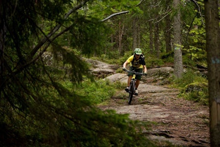 Anders Anker-Rasch på vei ned fra Haukåsen mot Lutvann i Østmarka. / Stisykling i Norge.