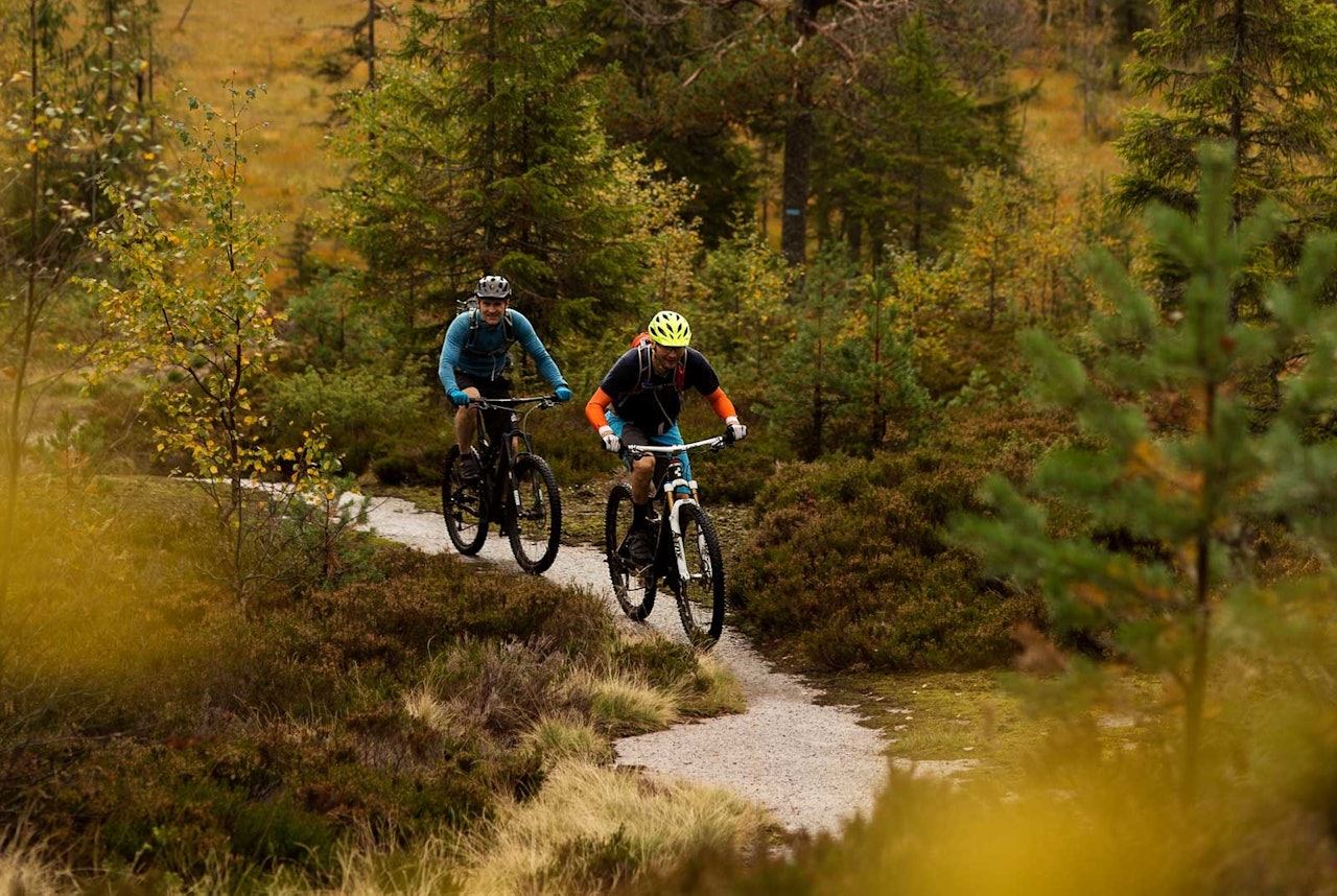 Rune Røsten og Vidar Gundersen på vei opp mot Vindernhøgda i Nordmarka. / Stisykling i Norge. Rune Røsten og Vidar Gundersen på vei opp mot Vindernhøgda i Nordmarka. / Stisykling i Norge.