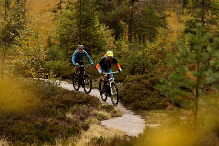 Rune Røsten og Vidar Gundersen på vei opp mot Vindernhøgda i Nordmarka. / Stisykling i Norge. Rune Røsten og Vidar Gundersen på vei opp mot Vindernhøgda i Nordmarka. / Stisykling i Norge.