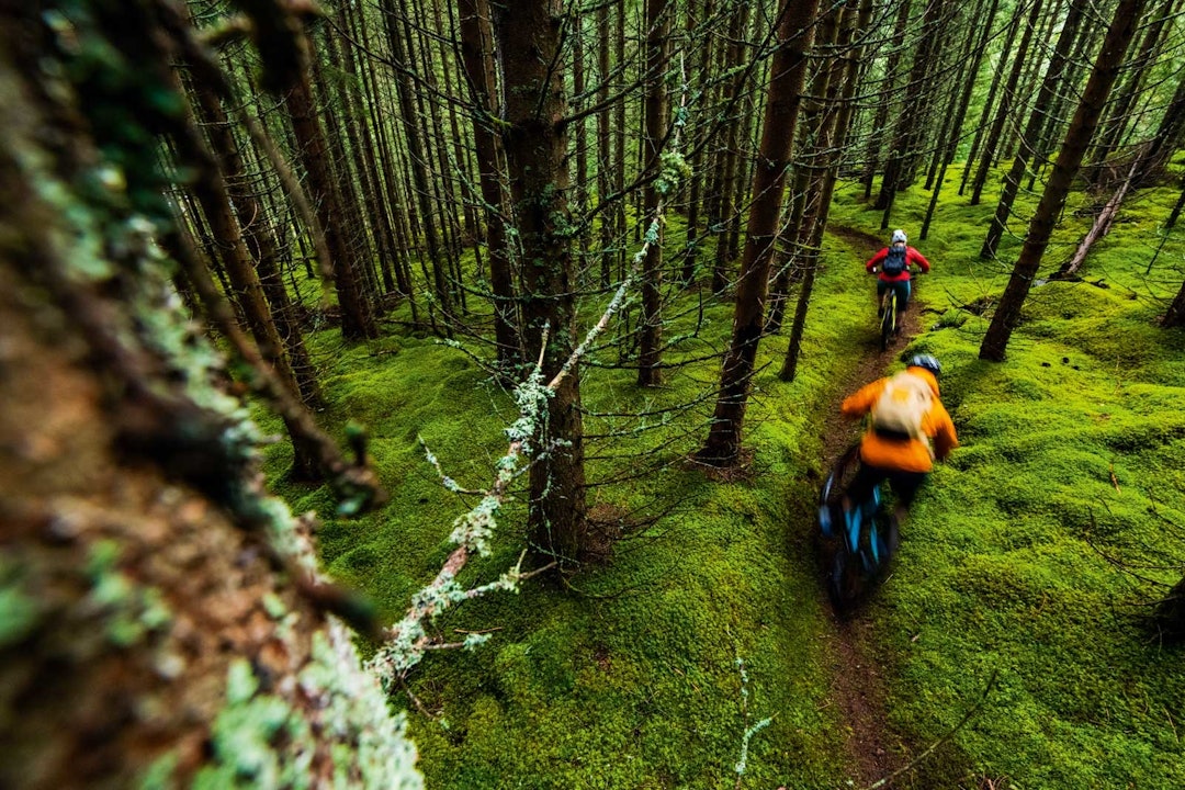 UNDER TREGRENSA: Da vi besøkte Stranda viste den lokale guiden Oscar Almgren fra Uteguiden vegen. Denne moselagte stien var en drøm. UNDER TREGRENSA: Da vi besøkte Stranda viste den lokale guiden Oscar Almgren fra Uteguiden vegen. Denne moselagte stien var en drøm.