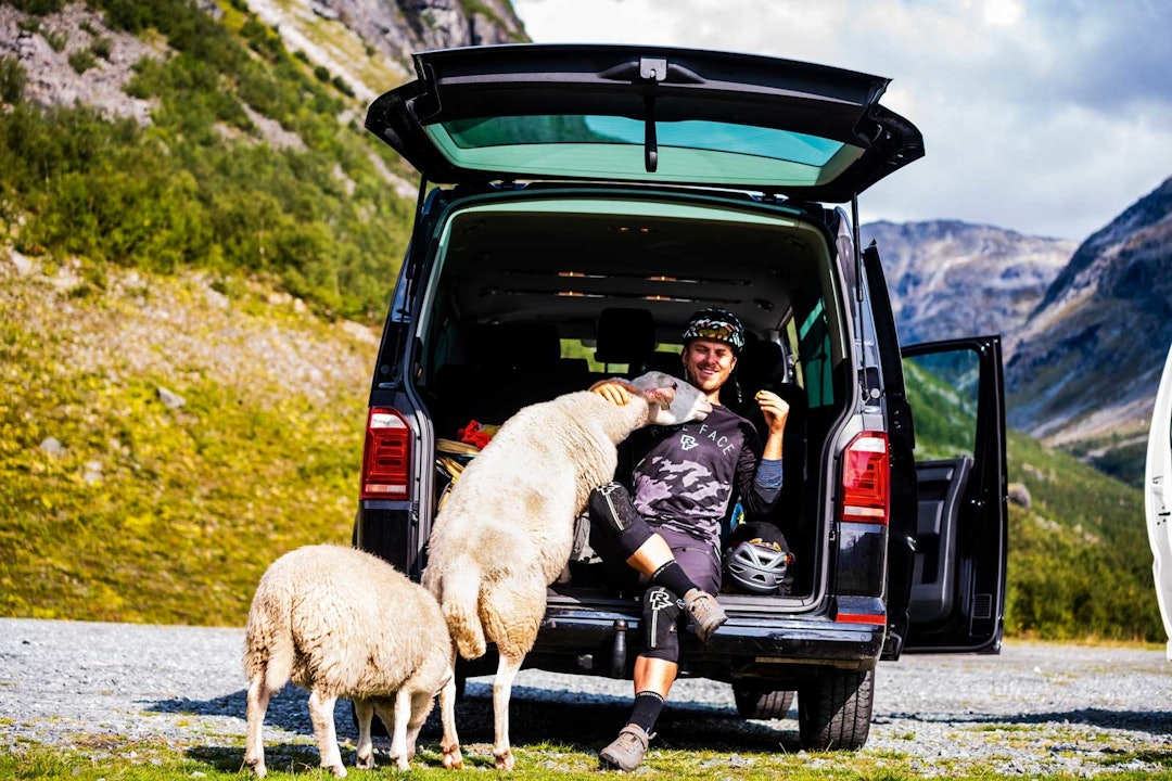 NYSGJERRIGE: Remi Gauvin stifter bekjentskap med noen nærgående lokale i Oppstryn. NYSGJERRIGE: Remi Gauvin stifter bekjentskap med noen nærgående lokale i Oppstryn.