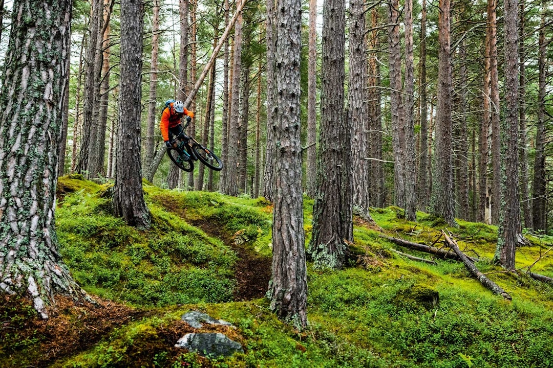 KLASSIKER: Vi skal ikke gå noe nærmere inn på hvordan stien Blowjob har fått navnet sitt, men det er et fantastisk stiparti. Lekende og dynamisk terreng over Liabygda ble en favoritt for Thomas Vanderham. KLASSIKER: Vi skal ikke gå noe nærmere inn på hvordan stien Blowjob har fått navnet sitt, men det er et fantastisk stiparti. Lekende og dynamisk terreng over Liabygda ble en favoritt for Thomas Vanderham.