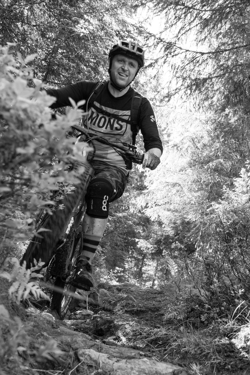 En fin dag i skogen. Foto: Zoltson En fin dag i skogen. Foto: Zoltson