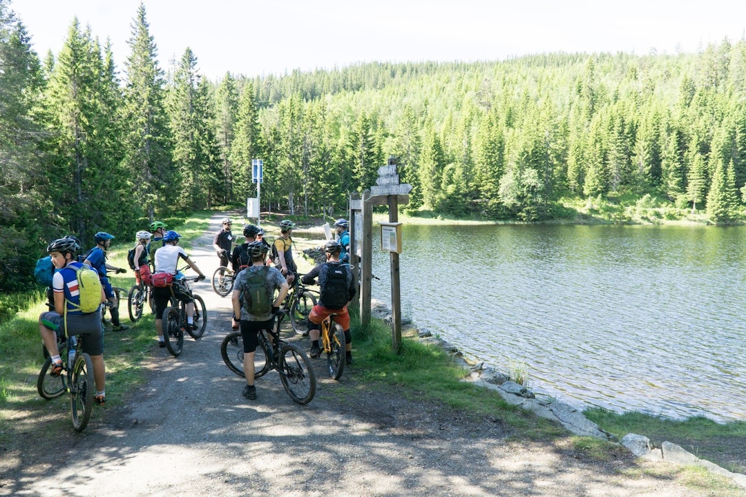 Klar for neste økt og nye opplevelser. Foto: Zoltson Klar for neste økt og nye opplevelser. Foto: Zoltson