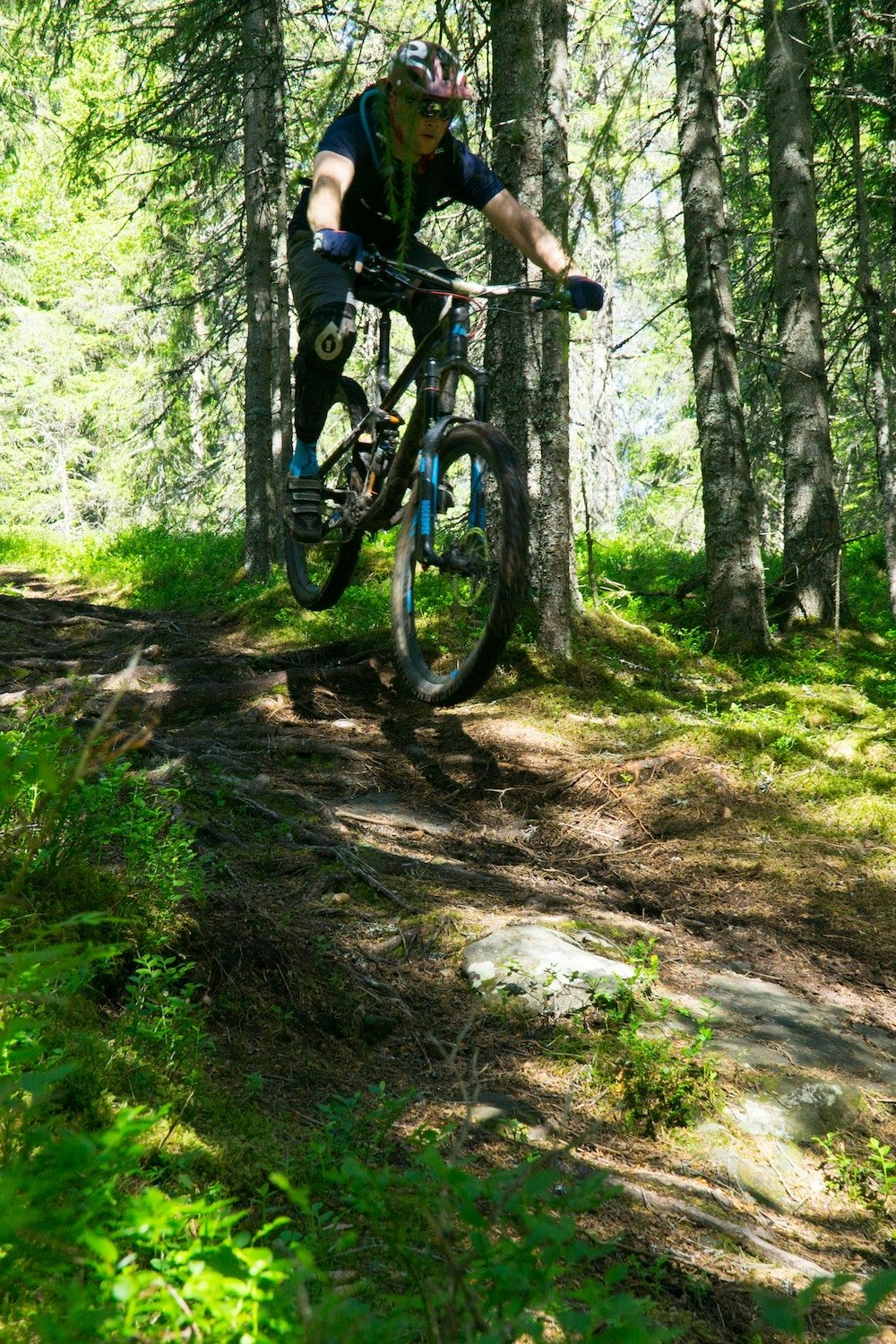 Røtter og stein går som en lek. Foto: Zoltson Røtter og stein går som en lek. Foto: Zoltson