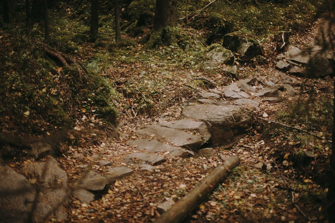 STEINSATT: En måte å unngå utvidelse av stier i våte partier, kan være utbedring som for eksempel steinsetting. Her fra Pioneren i Østmarka. Foto: Kristoffer H. Kippernes tilrettelegging sti slitasje stisykling kommentar