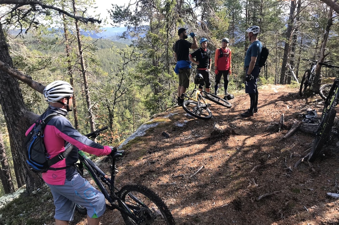 Hallingdal og Ål har mye stisykling å by på, men en del trenger mer tilrettelegging for å åpne opp for flere brukergrupper. Foto: Anders Korsmo