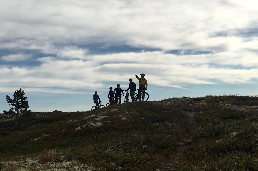 Hallingdal har både høyfjell og skogsterreng å by på. Foto: Anders Korsmo Hallingdal har både høyfjell og skogsterreng å by på. Foto: Anders Korsmo