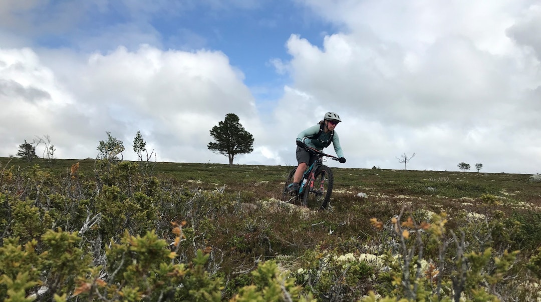 Sykkelferie basert på tog | TERRENGSYKKEL.NO