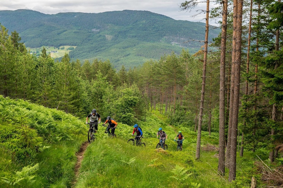 Sogn Terrengsykkel er opptatt av at stisyklingen på Kaupanger skal foregå i det små, og ikke bredt markedsført av store kommersielle aktører. Foto: Bård Basberg Sogn Terrengsykkel er opptatt av at stisyklingen på Kaupanger skal foregå i det små, og ikke bredt markedsført av store kommersielle aktører. Foto: Bård Basberg