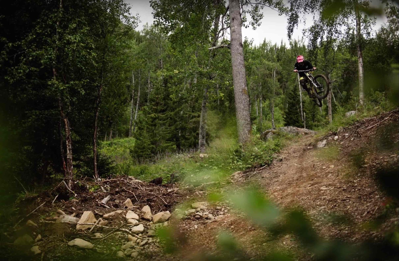 Foto: Martin I. Dalen Foto: Martin I. Dalen