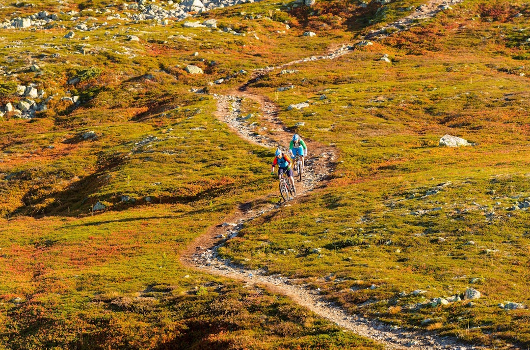 Naturlig sti er ett av flere satsingsområder for Trysil Bike Arena framover. Foto: Ola Matsson