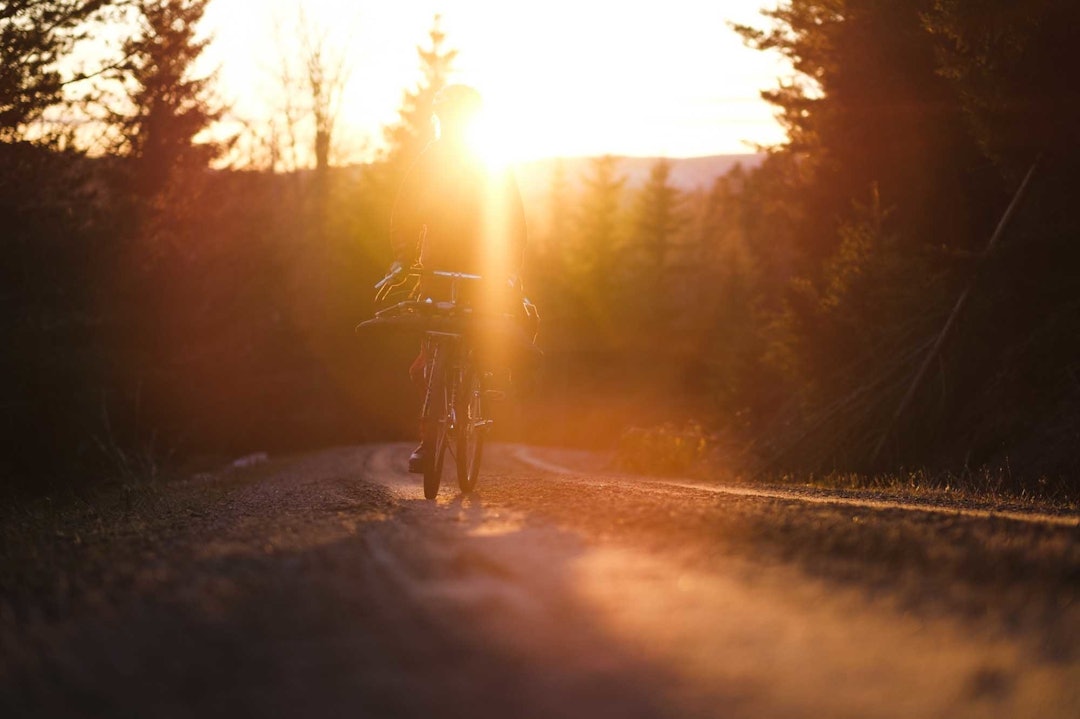 SENT: Utpå kvelden skjønner vi at vi ikke når å komme oss opp til gammelskogen på toppen av det vesle fjellet på turens første dag. Nå tenker du sikkert at vi er sånne som alltid er seint ute med pakkingen, men jeg vil bare nevne at vi først måtte sjekke at vi fikk plass til alt i sekkene før vi dro alt ut av sekkene igjen og deretter pakket syklene. Ja, og så var vi sikkert litt seint ute med pakkingen. sykkeltur truger