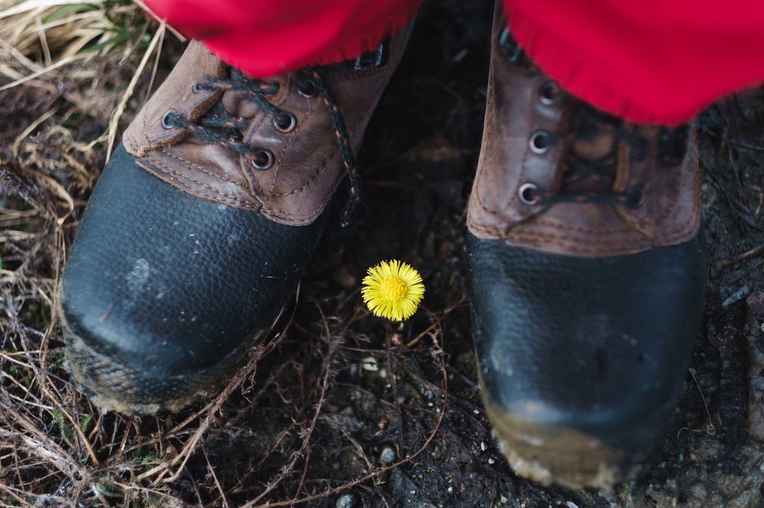 VÅR: Okay, nå er er det definitivt ikke tvil lenger. Selv de mest pessimistiske må innse at nå er det vår på ordentlig. sykkeltur truger