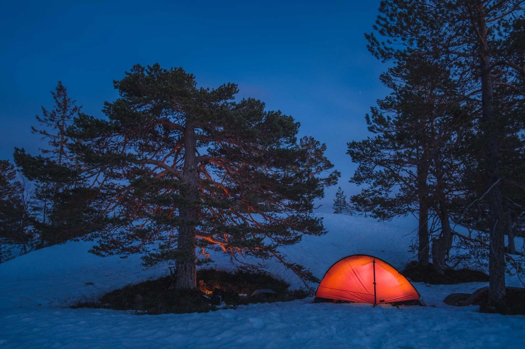 SNART SESONG: Lysende telt i villmarka. Joda, det er vel en slags klisje, litt sånn «elg i solnedgang». Men seriøst, det var en digg kveld, i snøen, noen hundre høydemeter over våren. Litt senere hørte vi kattugla tute etter ei dame. Og om noen uker kan vi sykle hvor vi vil sykkeltur truger