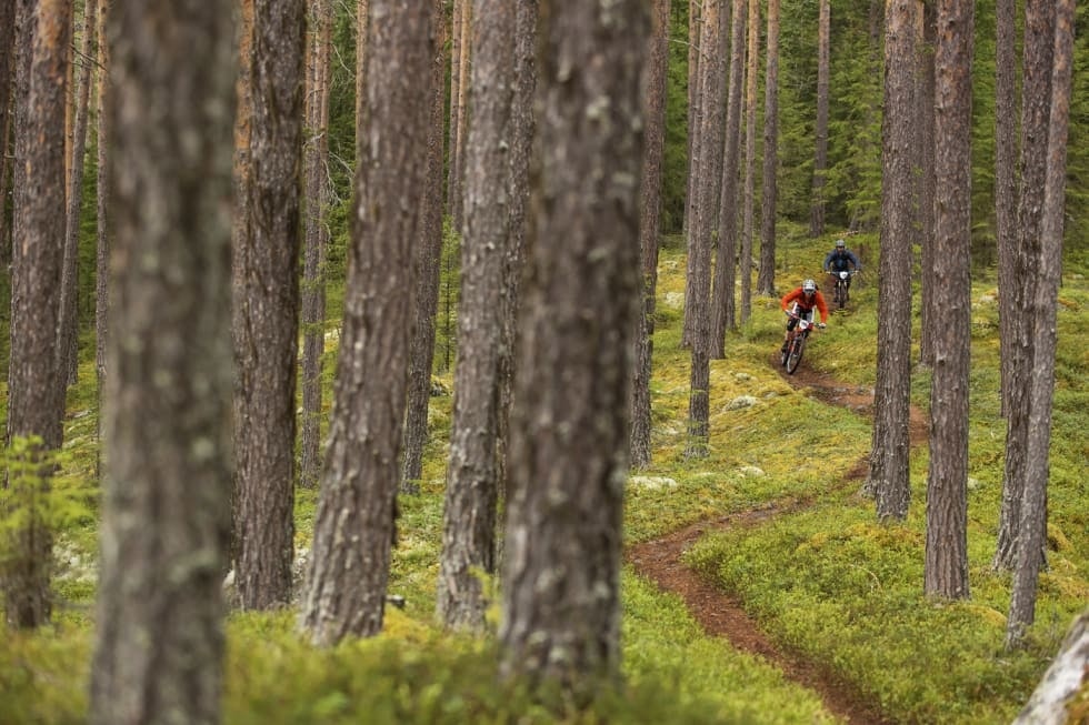 GI PLASS: Det er ikke uvanlig at ryttere tar hverandre igjen i enduro. Da gjelder det å være smidig. Foto: Kristoffer H. Kippernes enduro endurosykling