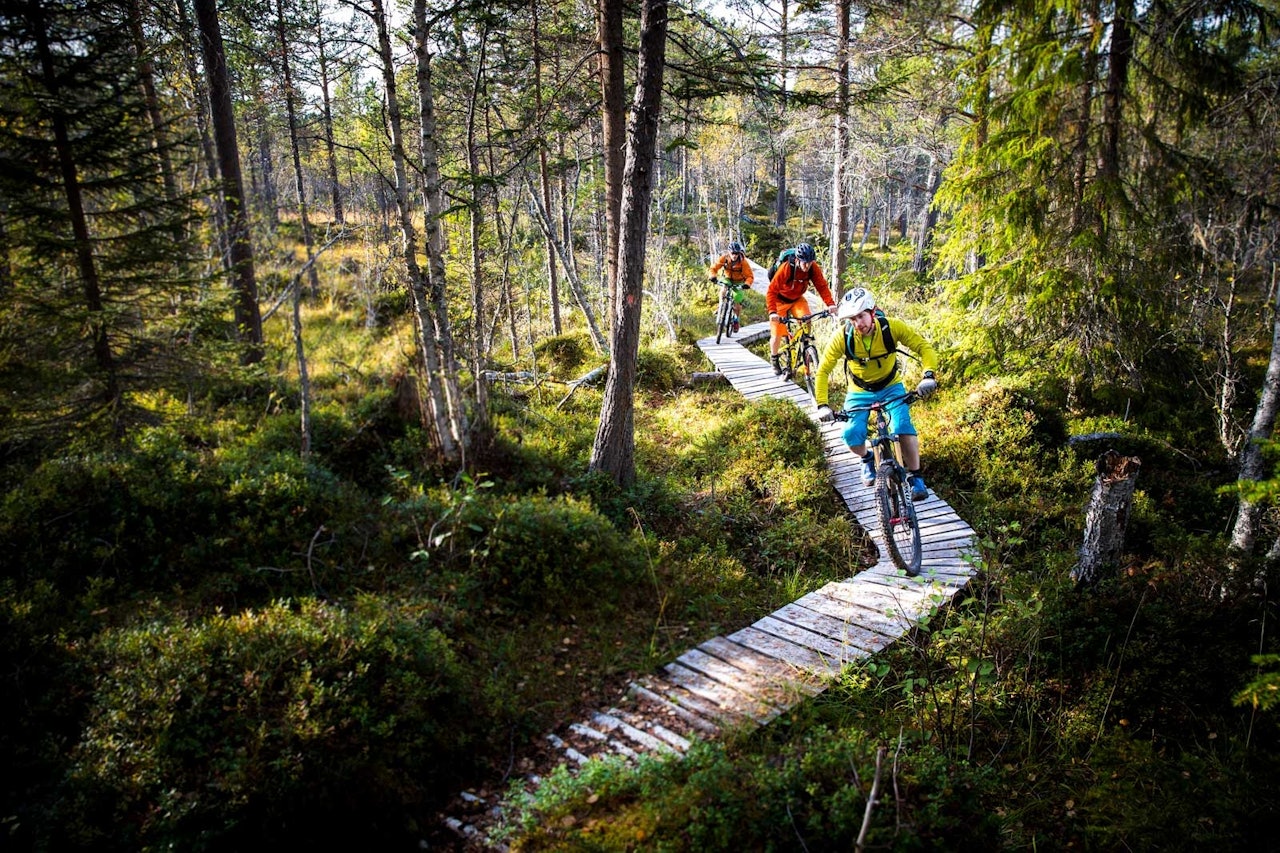 Kristian Brøndstad, Jens Petter Skårsmoen og Songre Børgeson Larsen på Hostostraden utenfor Oppdal. Foto: Terje Aamodt. / Stisykling i Norge. Kristian Brøndstad, Jens Petter Skårsmoen og Songre Børgeson Larsen på Hostostraden utenfor Oppdal. Foto: Terje Aamodt. / Stisykling i Norge.