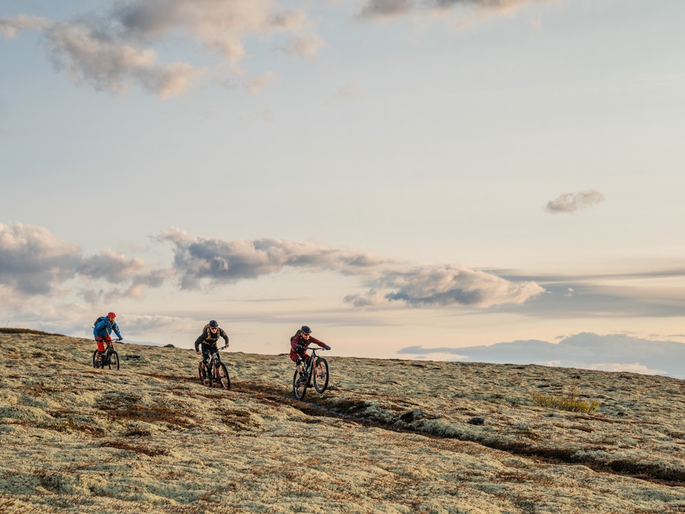 HØYFJELLSCRUISE: Stiene i Alvdal er i hovedsak naturlige i form av barnålsstier, steinete høyfjellsti og cruising i landskap dekt med reinslav. Bilde: Magnus Roaldset Furset HØYFJELLSCRUISE: Stiene i Alvdal er i hovedsak naturlige i form av barnålsstier, steinete høyfjellsti og cruising i landskap dekt med reinslav. Bilde: Magnus Roaldset Furset
