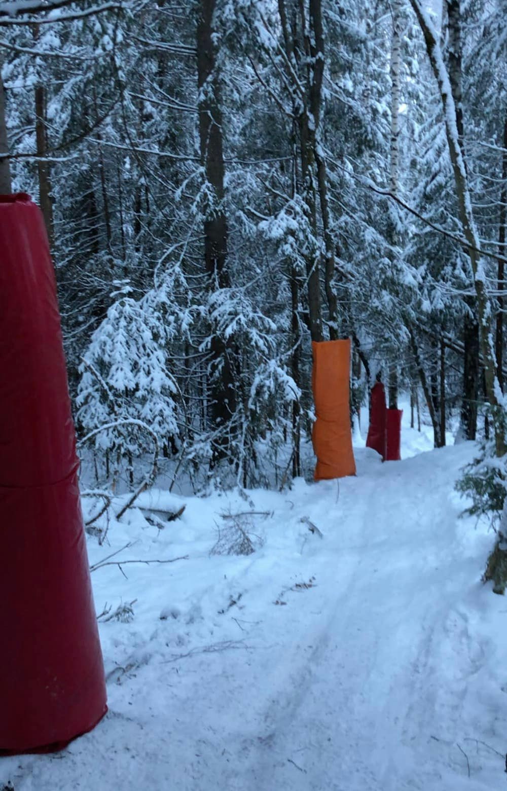 Tre mot en er feigt: Arrangøren gjorde sitt for å polstre utsatte steder i skogen. Det betyr mesteparten av den. Foto: Modum Challenge