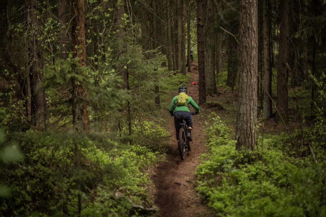 Grønt og frodig Grønt og frodig