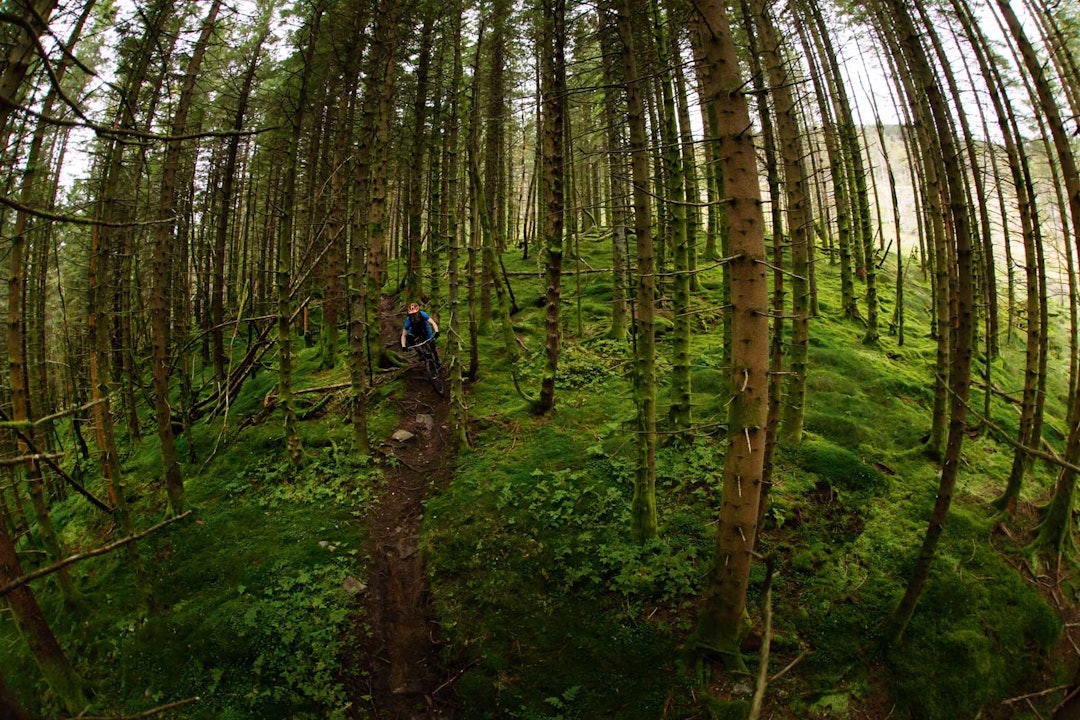 EN SYKLISTS VÅTE DRØM: Selv om fellesnevneren er teknisk terreng, byr stiene i og rundt Bergen på stor variasjon. Mads Oliver Øftshus finner linja over glatte røtter ned fra Rundemannen. Stisykling-i-Bergen-4