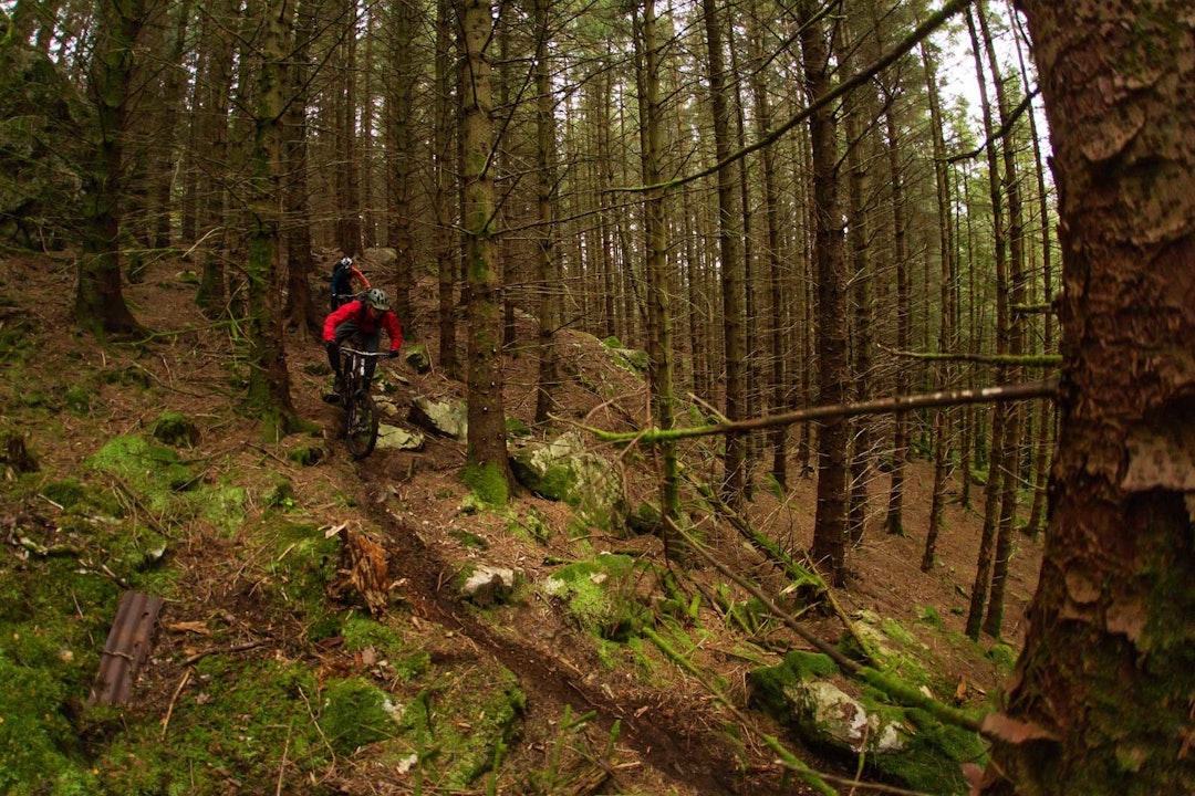 EN BARNÅLSDRØM: Om fjellsyklingen blir i bratteste laget, er Stend verdt et besøk. Mer kupert terreng, med et rikt nettverk av stier. Stisykling-i-Bergen-5